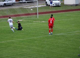 1. Mannschaft: TSV Pfedelbach – Calcio Leinfelden – Echterdingen 4:1 (2:0)