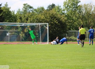 1. Mannschaft – Landesliga 1. Spieltag: SV Leingarten – TSV Pfedelbach 2:2 (2:1)