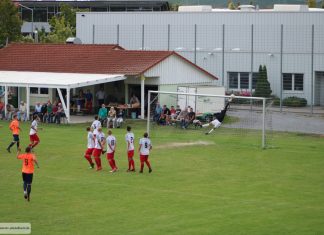 1. Mannschaft – Landesliga 6. Spieltag: TSV Pfedelbach – TSV Schwaikheim 1:2 (1:1)