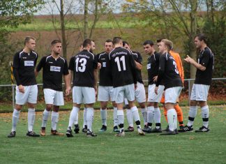 1. Mannschaft – Landesliga 12. Spieltag: TV Pflugfelden – TSV Pfedelbach 1:1 (1:1)