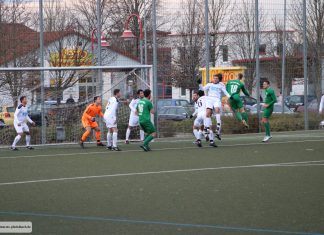 1. Mannschaft – Landesliga 15. Spieltag: TSV Pfedelbach – SV Kaisersbach 1:1 (0:0)