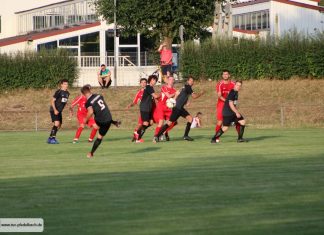 Bericht aus der Hohenloher Zeitung zum DB Regio-wfv-Pokal Viertelfinale und Testspiel gegen Niedernhall