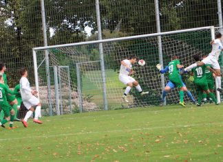 1. Mannschaft – Landesliga 8. Spieltag: SV Kaisersbach – TSV Pfedelbach 1:1 (0:1)