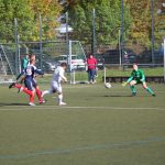 1. Mannschaft – Landesliga 9. Spieltag: TSV Pfedelbach – SG Sindringen/Ernsbach 0:1 (0:0)