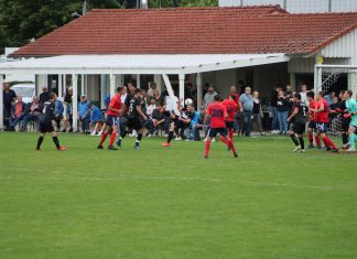 1. Mannschaft – Landesliga 3. Spieltag: TSV Pfedelbach – SG Sindringen/Ernsbach 2:1 (1:1)