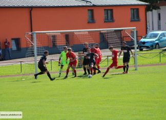1. Mannschaft – Landesliga 7. Spieltag: TSV Pfedelbach – TV Pflugfelden 2:2 (1:0)
