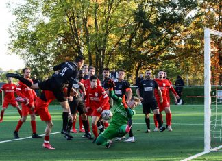 1. Mannschaft – Landesliga 14. Spieltag: FV Löchgau – TSV Pfedelbach 2:1 (1:0)