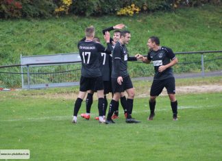 1. Mannschaft – Landesliga 15. Spieltag: TSV Pfedelbach – SV Salamander Kornwestheim 2:1 (2:0)