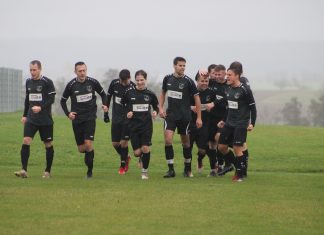 1. Mannschaft – Landesliga 16. Spieltag: SV Allmersbach – TSV Pfedelbach 2:2 (2:1)