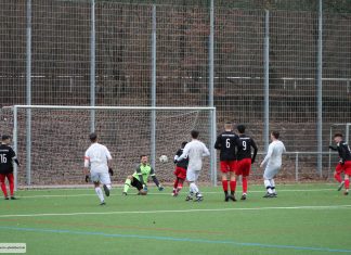 1. Mannschaft: Sportvg. Feuerbach – TSV Pfedelbach 3:1 (1:0)