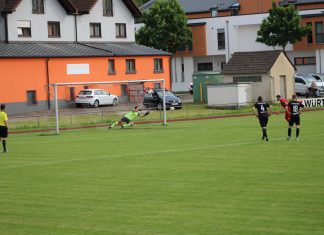 1. Mannschaft – Landesliga 35. Spieltag: TSV Pfedelbach – SV Allmersbach 2:2 (1:0)
