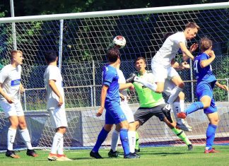 1. Mannschaft – Landesliga 38. Spieltag: SV Germania Bietigheim – TSV Pfedelbach 3:0 (3:0)