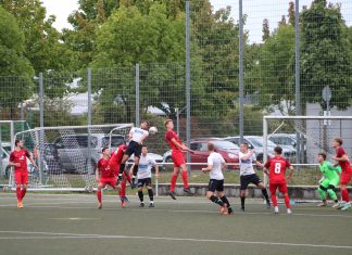 1. Mannschaft – Landesliga 7. Spieltag: TSV Pfedelbach – TSV Ilshofen II 4:0 (3:0)