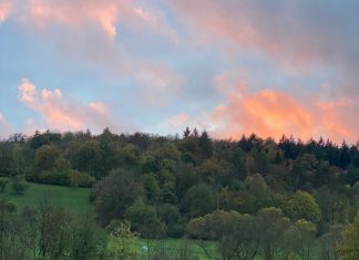 Fußball Frauen Bezirksliga, 7. Spieltag: FC Creglingen – TSV Pfedelbach 1:0 (0:0)