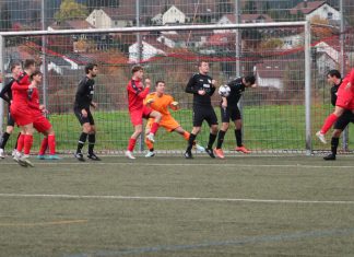 1. Mannschaft – Landesliga 17. Spieltag: SV Allmersbach – TSV Pfedelbach 3:1 (2:0)