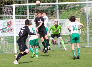 1. Mannschaft – Landesliga 27. Spieltag: TSV Heimerdingen – TSV Pfedelbach 2:2 (0:2)