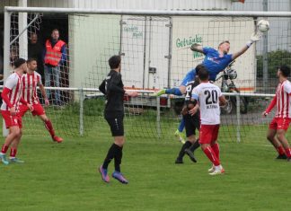 1. Mannschaft – Landesliga 26. Spieltag: TSV Pfedelbach – Türkspor Neckarsulm 2:2 (0:2)