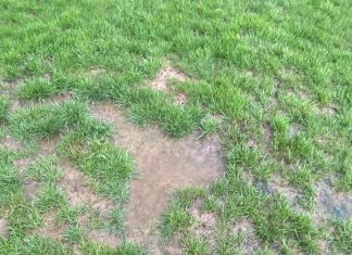 2. Mannschaft – Kreisliga A1: Nachholspiel in Zweiflingen fällt erneut dem Wetter zum Opfer