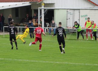 1. Mannschaft – Landesliga 28. Spieltag: TSV Pfedelbach – TV Oeffingen 2:1 (0:0)