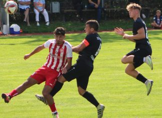 3. Runde DB-Regio wfv-Pokal: TSV Pfedelbach – Türkspor Neckarsulm 0:2 (0:1)