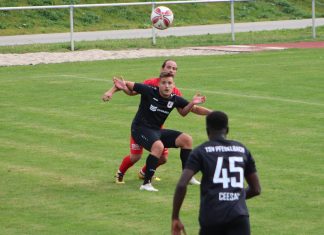 1. Mannschaft – Landesliga 11. Spieltag: TSV Pfedelbach – FV Löchgau 1:1 (1:1)