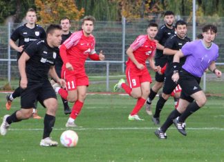 1. Mannschaft – Landesliga 12. Spieltag: TSV Ilshofen – TSV Pfedelbach 3:1 (1:0)