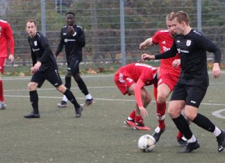 1. Mannschaft – Landesliga 17. Spieltag: TSV Pfedelbach – TSV Heimerdingen 0:0