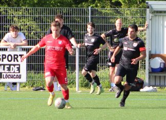 1. Mannschaft – Landesliga 28. Spieltag: FV Löchgau – TSV Pfedelbach 2:1 (2:0)
