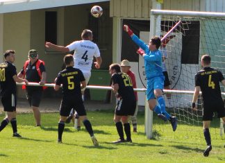 1. Mannschaft – Landesliga 31. Spieltag: TSV Pfedelbach – GSV Pleidelsheim 1:2 (0:1)