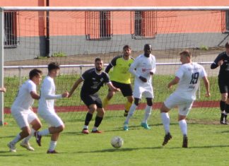 1. Mannschaft – Bezirksliga Franken 4. Spieltag: TSV Pfedelbach – FSV Schwaigern 0:2 (0:1)