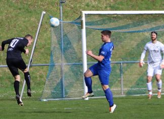 1. Mannschaft – Bezirksliga Franken 23. Spieltag: SV Wachbach – TSV Pfedelbach 0:1 (0:0)