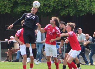 1. Mannschaft – Bezirksliga Franken 31. Spieltag: TSV Erlenbach – TSV Pfedelbach 1:0 (0:0)