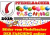 Bilder DER FASCHING 2026 online