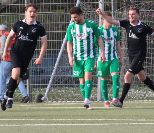 1. Mannschaft – Bezirksliga Franken 18. Spieltag: TG Böckingen – TSV Pfedelbach 2:4 (1:2)