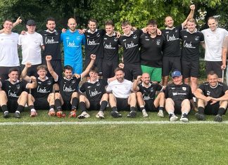 1. Mannschaft – Bezirksliga Franken 30. Spieltag: TSV Erlenbach – TSV Pfedelbach 2:0 (1:0)