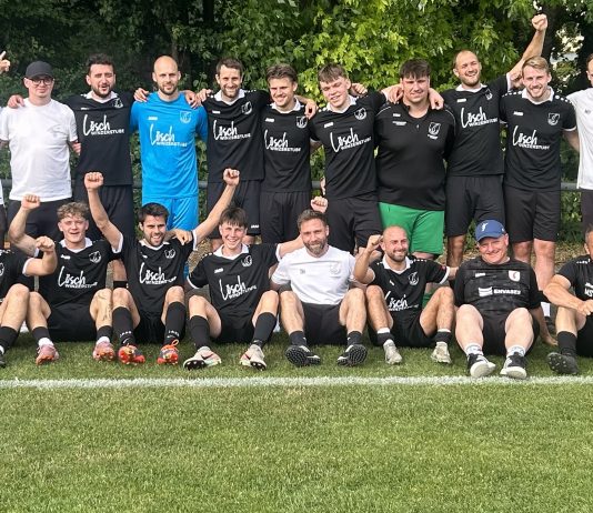1. Mannschaft – Bezirksliga Franken 30. Spieltag: TSV Erlenbach – TSV Pfedelbach 2:0 (1:0)