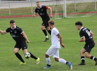 1. Mannschaft – Bezirksliga Franken 5. Spieltag: TSV Pfedelbach – Spfr. Untergriesheim 1:4 (0:2)